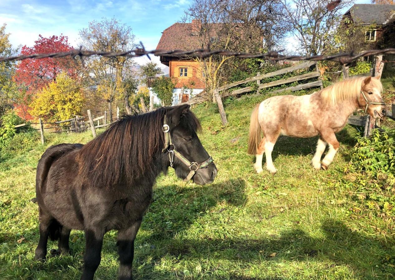 Hotel Feielhof Krakaudorf Esterno foto
