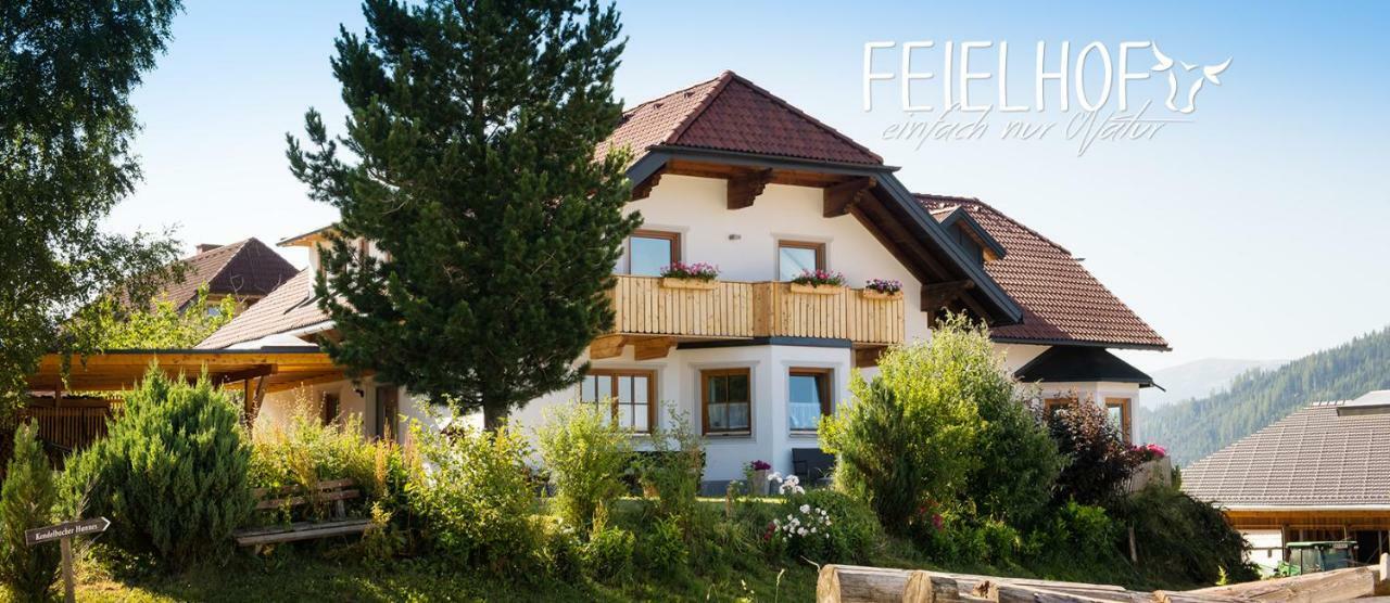Hotel Feielhof Krakaudorf Esterno foto